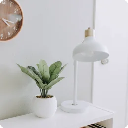 Category Product Images